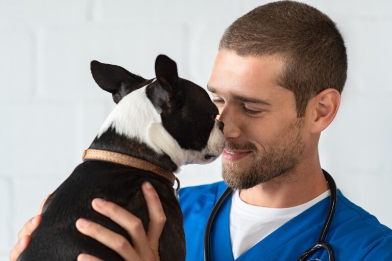 vet-loving-pet-dog.jpg